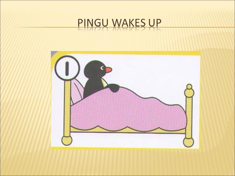 Pingu wakes up